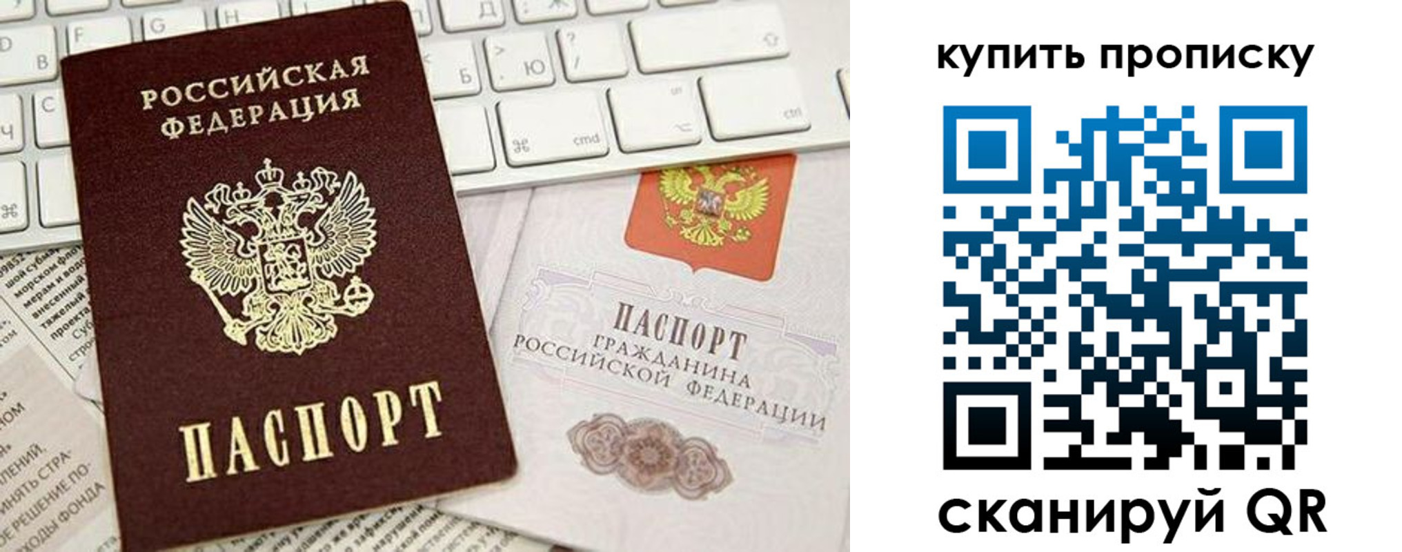 прописка гарантия в Высоковске